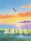 孤雁不南飞封面